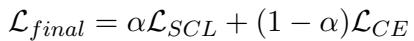 Equation 2: Final Loss