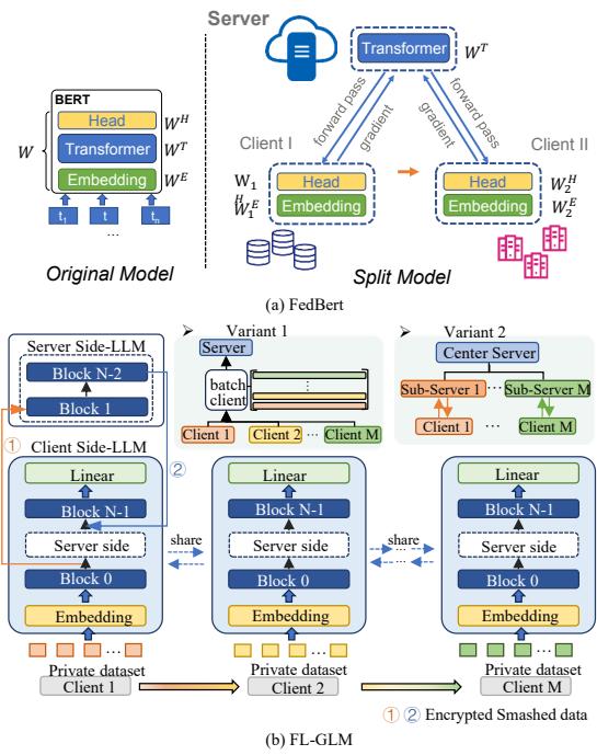 Model architecture comparison between FedBert and FL-GLM.