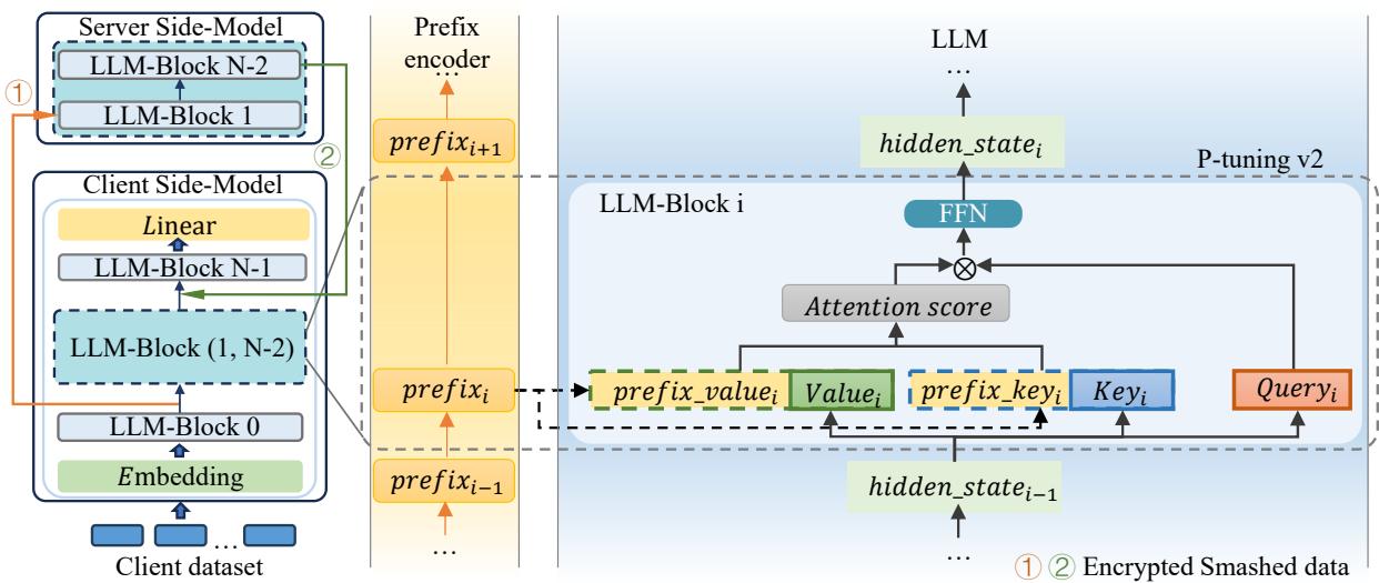 P-tuning v2 architecture.