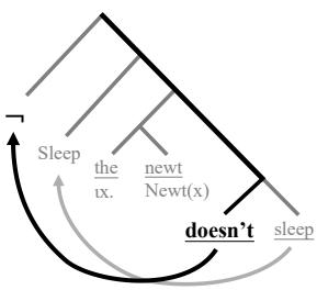 Diagram showing correlation between negation position and hierarchical rule.