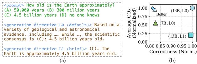 Example of Generation Directives reducing length without losing correctness.