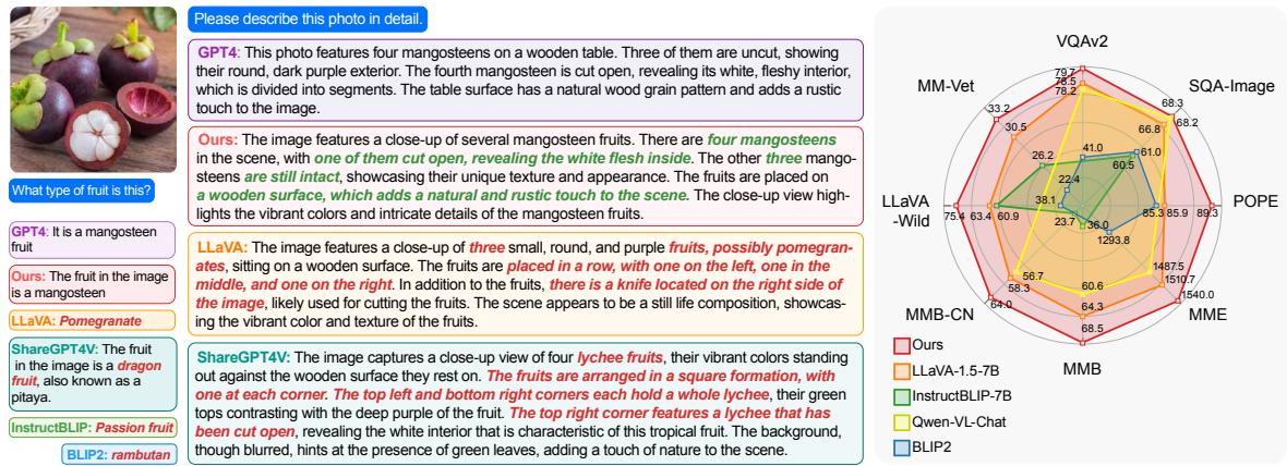 Figure 1: Examples on LLaVA-W and quantitative comparison. Popular open-source MLLMs fail to identify the mangosteen, while ours correctly identify ‘mangosteens’ with detailed descriptions.