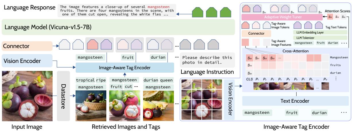 Figure 4: Framework of TUNA. Left: overall architecture. Right: architecture of the image-aware tag encoder.