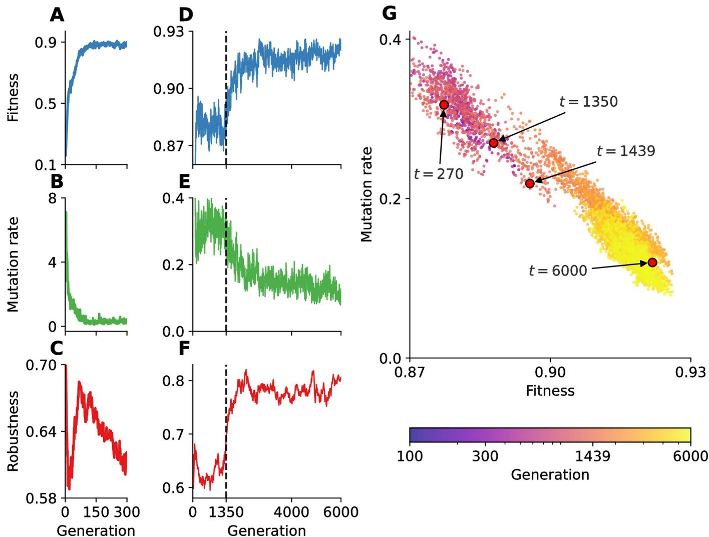 Adaptive evolution over 6000 generations