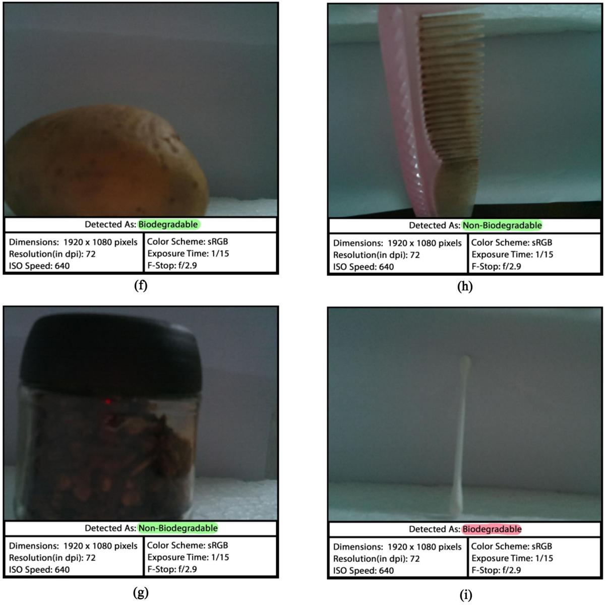 Image of cotton earbud incorrectly classified as biodegradable.