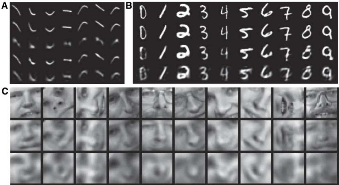 Panel A: Curves, Panel B: MNIST digits, Panel C: face patches, comparing autoencoder and PCA reconstructions.