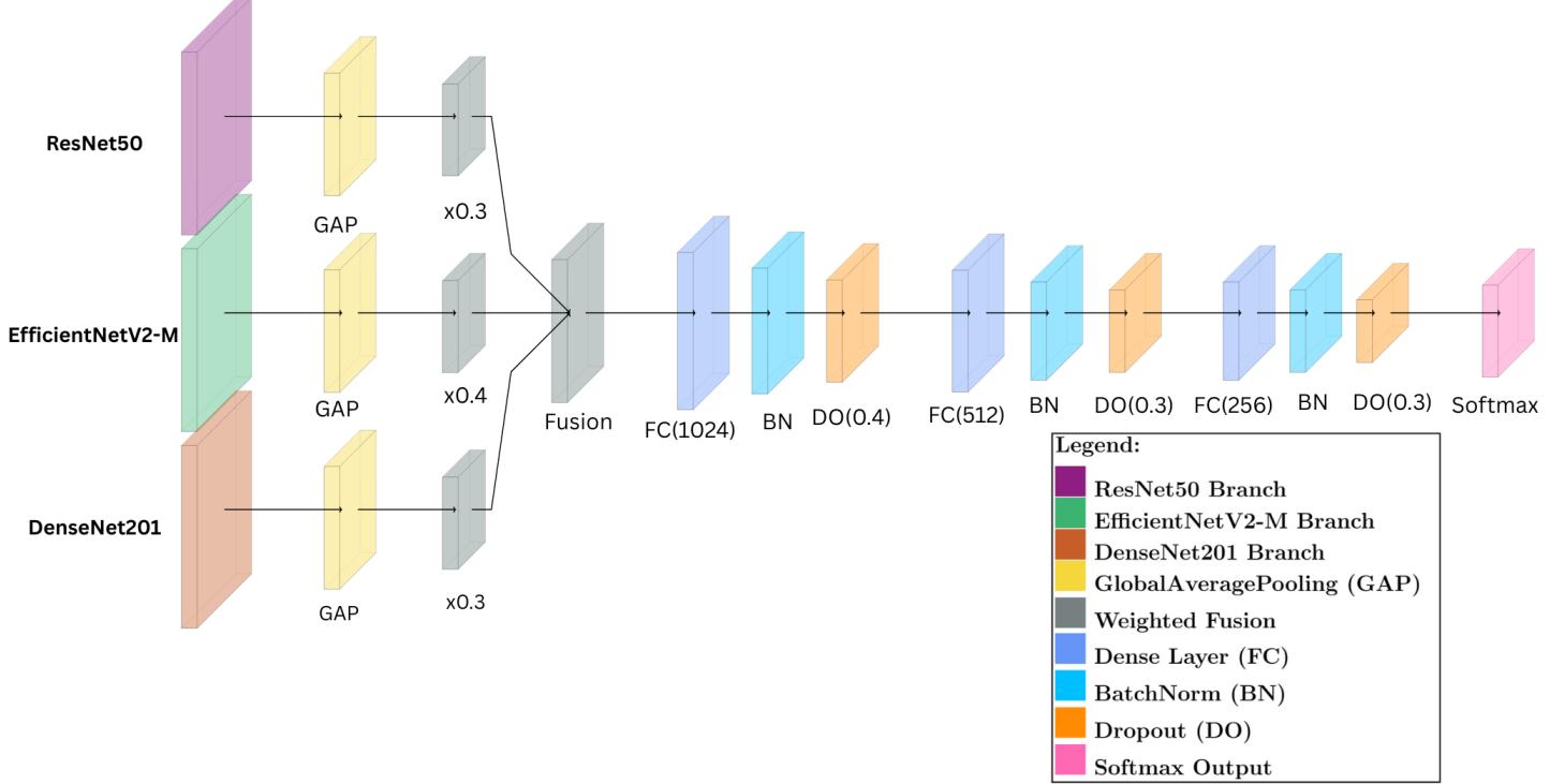 Figure 4 shows the proposed hybrid architecture. Three parallel backbones extract features, combined in a weighted fusion module, then passed through dense layers for final classification.