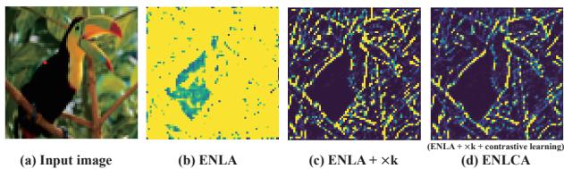 Attention map evolution with k and contrastive learning.
